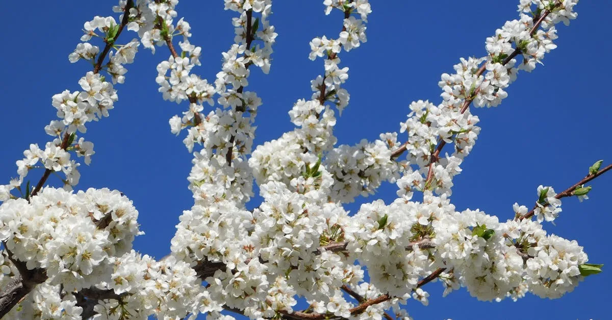 découvrez le concept de renouvellement, une dynamique essentielle qui vous permet de raviver vos idées, de réinventer votre quotidien et d'apporter un souffle nouveau à vos projets. plongez dans un univers d'innovation et de transformation pour un avenir meilleur.