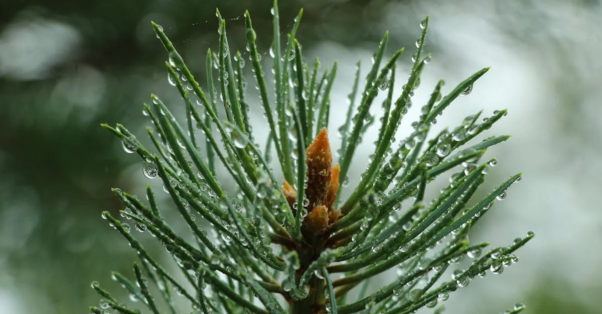 découvrez tout ce qu'il faut savoir sur le renouvellement du caces, une certification indispensable pour les professionnels travaillant avec des engins de chantier. obtenez des conseils pratiques, les étapes à suivre et les dernières informations pour réussir votre renouvellement de caces avec succès.