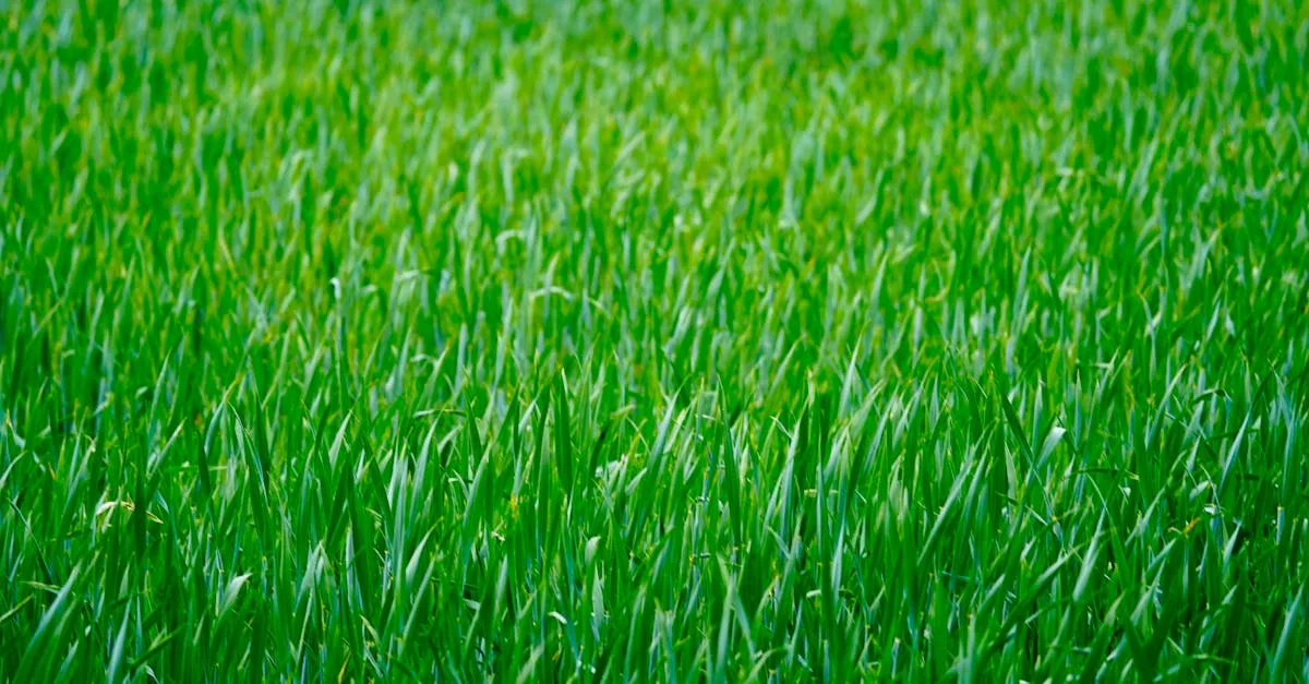 renouvelez votre caces facilement grâce à notre formation spécialisée. restez conforme et améliorez vos compétences professionnelles avec un apprentissage adapté à vos besoins. inscrivez-vous dès maintenant !