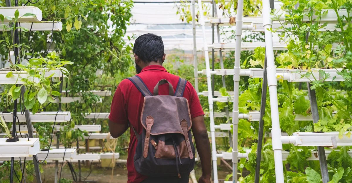 découvrez l'aquaponie, une méthode écologique alliant culture de plantes et élevage de poissons pour un jardinage durable et auto-suffisant.