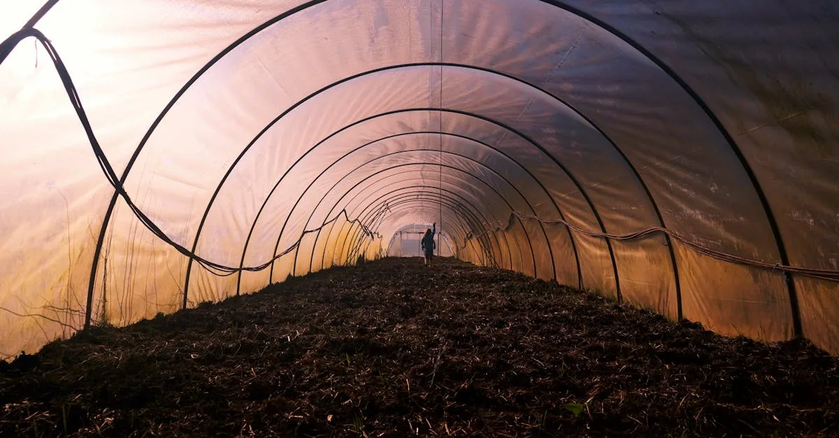 découvrez l'agriculture écologique innovante, une approche durable alliant technologie et respect de l'environnement pour cultiver de manière responsable et préserver la biodiversité.