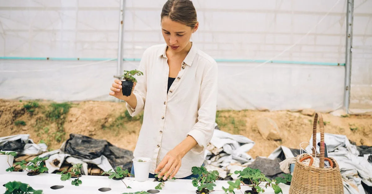 découvrez l'agriculture écologique innovante : des pratiques durables et respectueuses de l'environnement pour un avenir plus vert et sain.