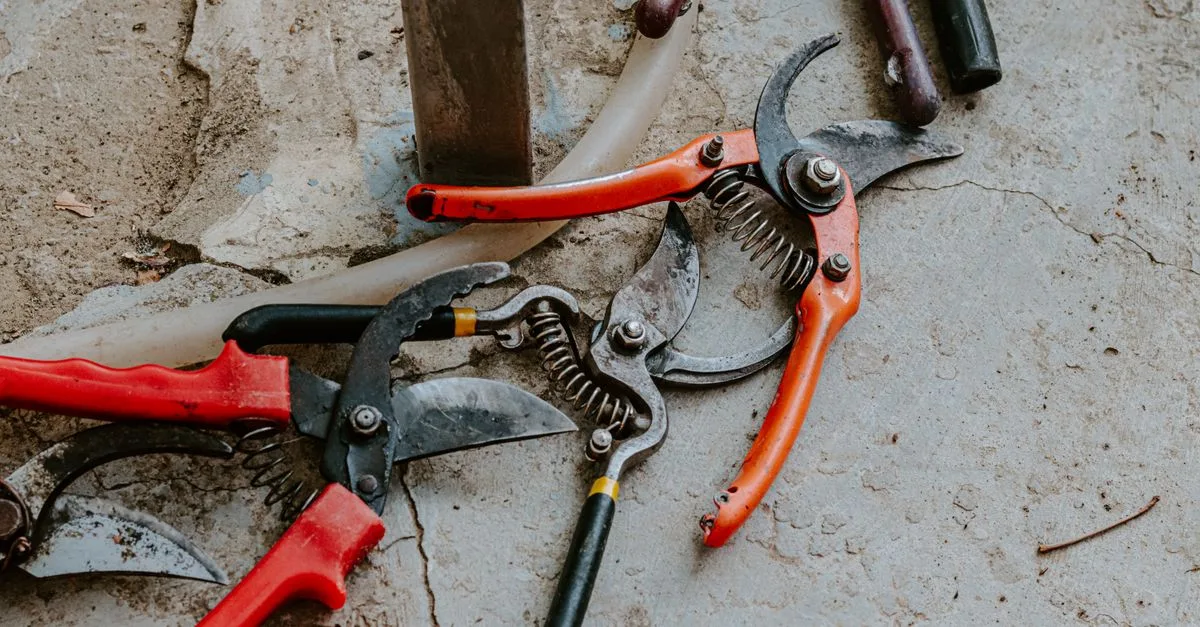 découvrez nos conseils experts en taille de jardin pour des plantes saines et un espace extérieur fleurissant toute l'année.